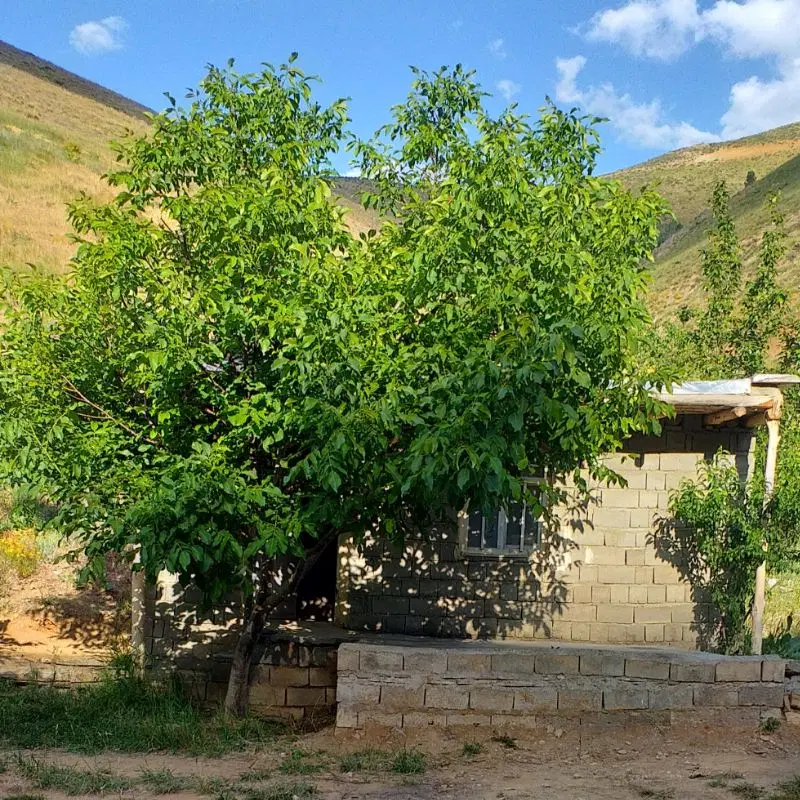 زمین مسکونی سند دار شهرک مکریان