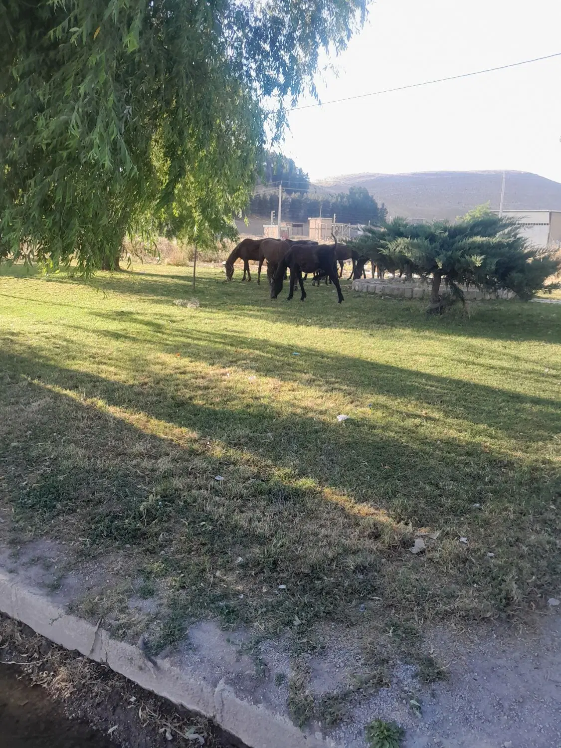 زمین‌۲۰۰متری
