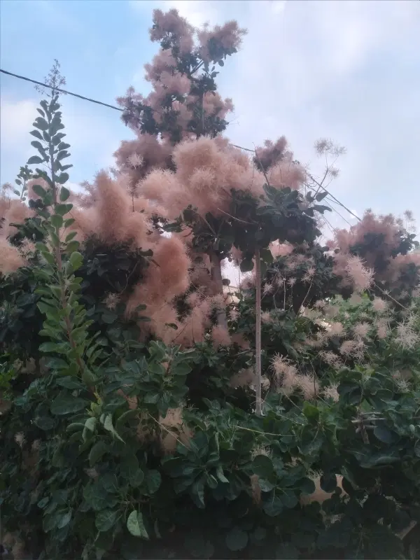 ۸۰۰ متر انبار موجود است