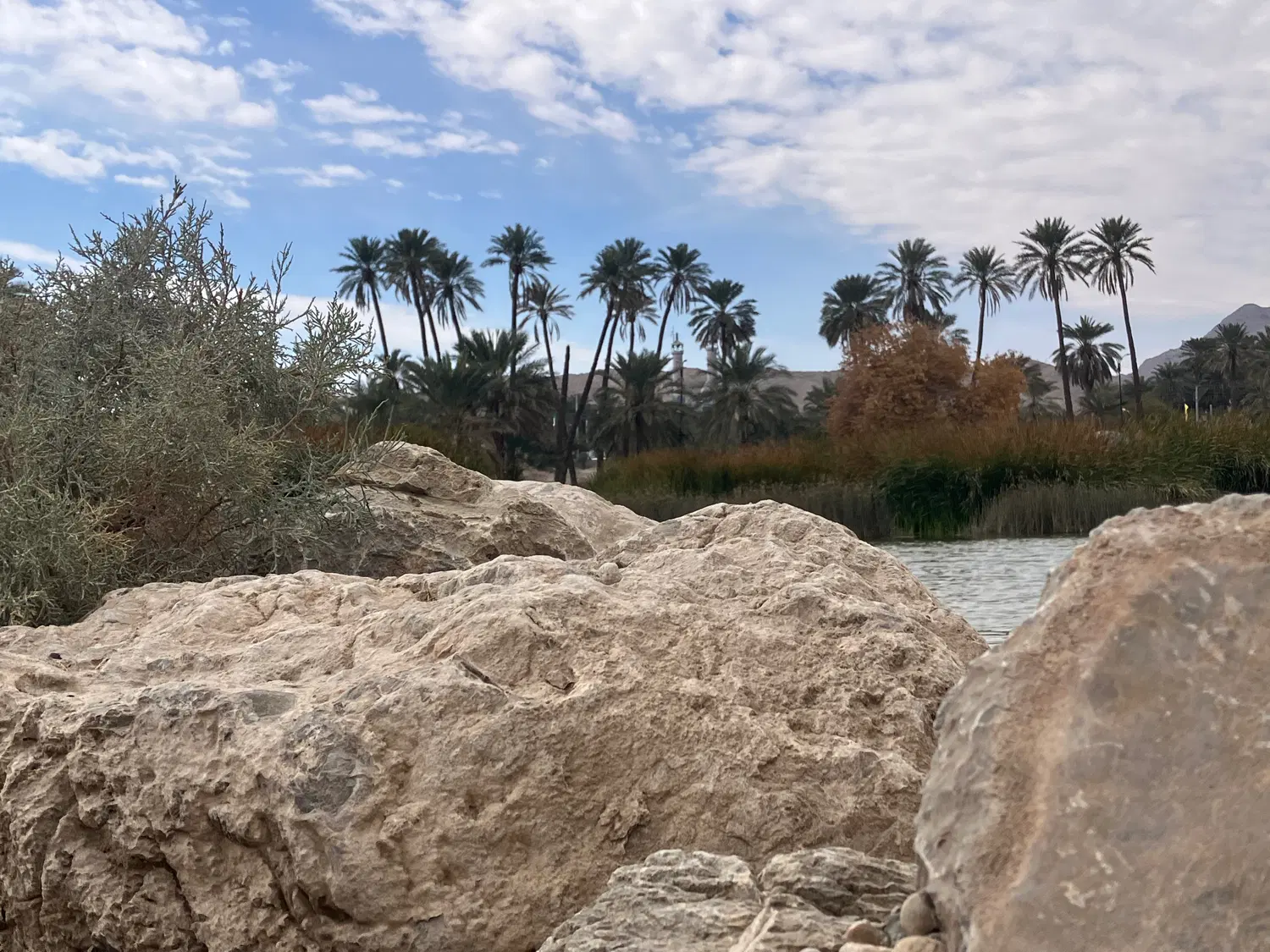 زمین فروشی