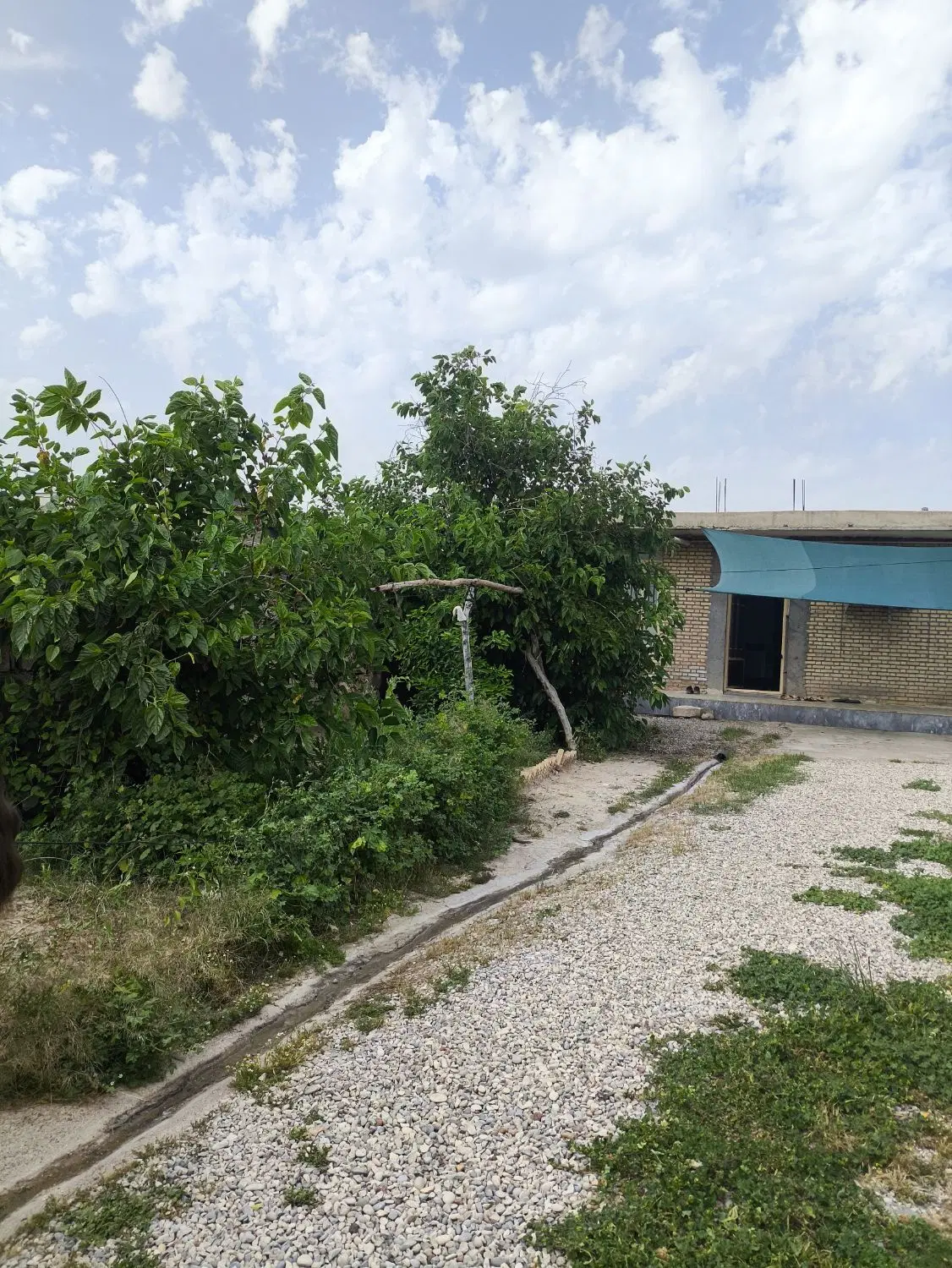 رهن و اجاره منزل مسکونی
