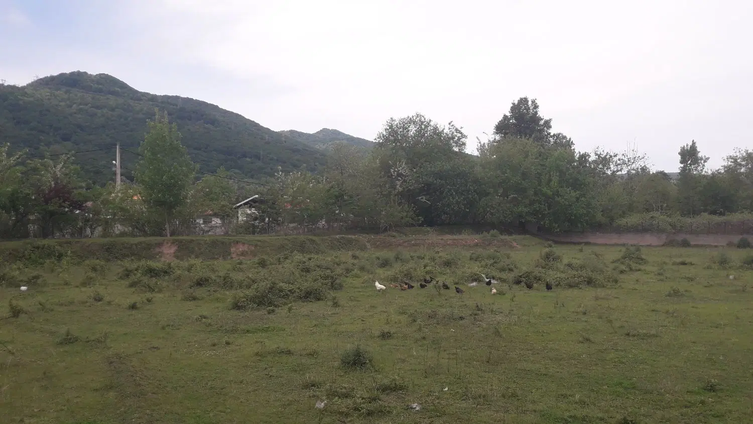 زمین مسکونی باغی۱۱۵۸_mسراوان ویوکوه وجنگل.