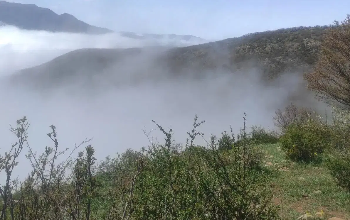 شکراب شمالی