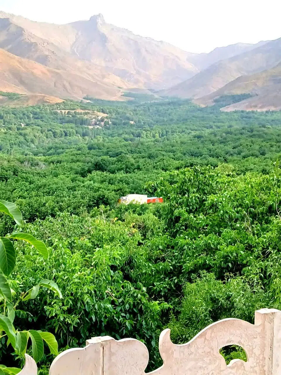 زمین باغی سرچهارراه