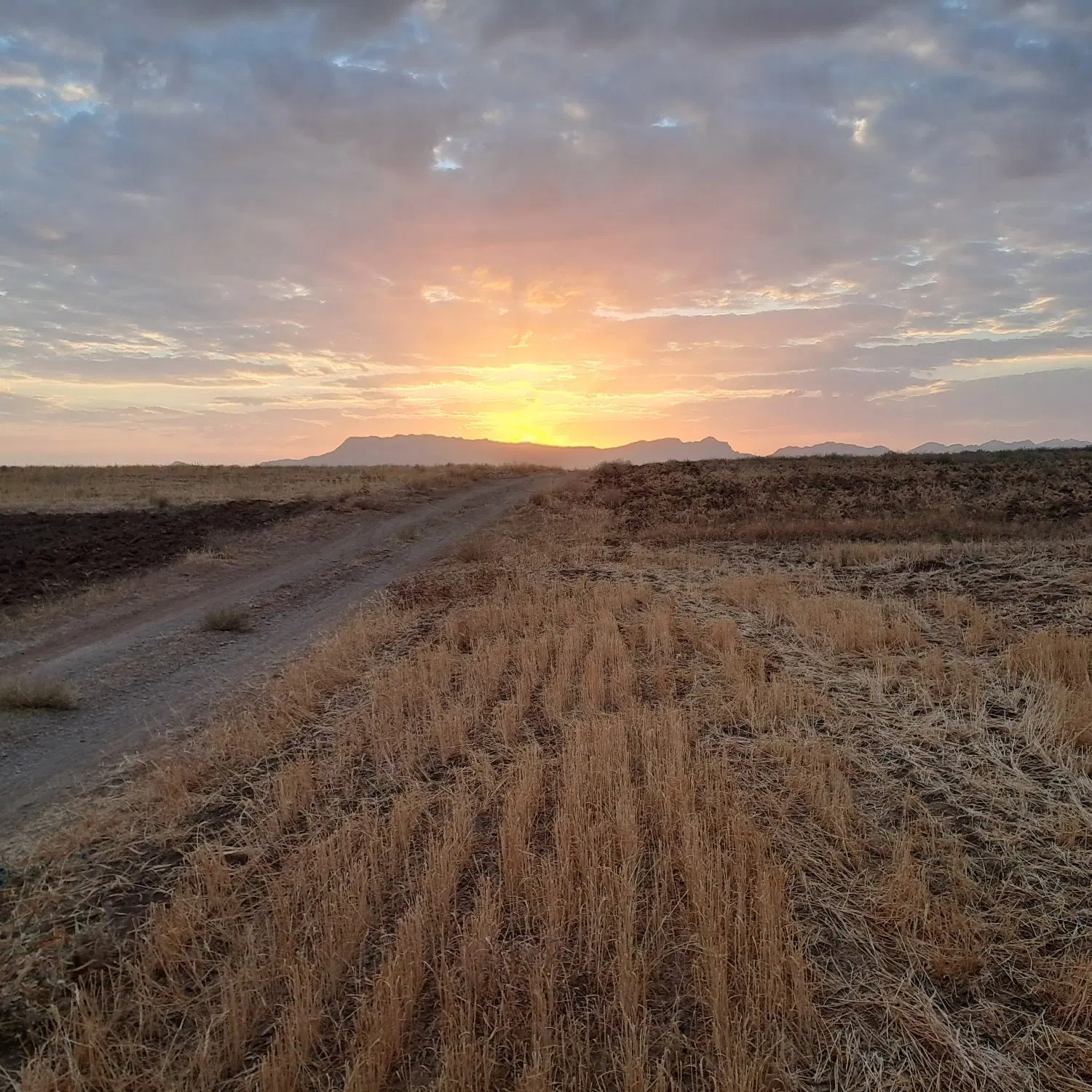 زمین مسکونی