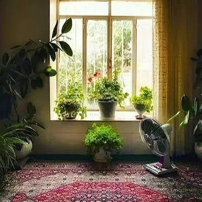 منزل قدیمی ۱۸۶ متر سند دار بدون پارکینگ