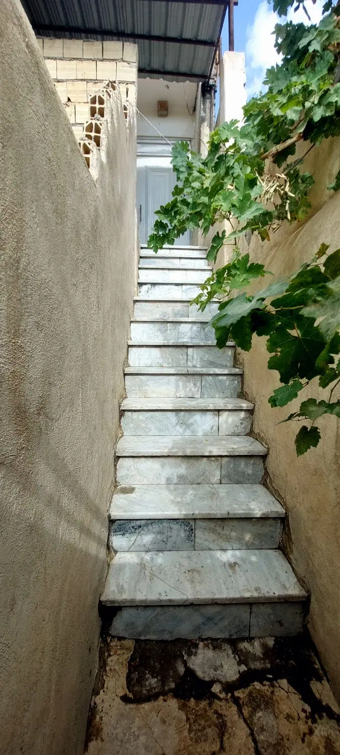 80 متری راه جدا