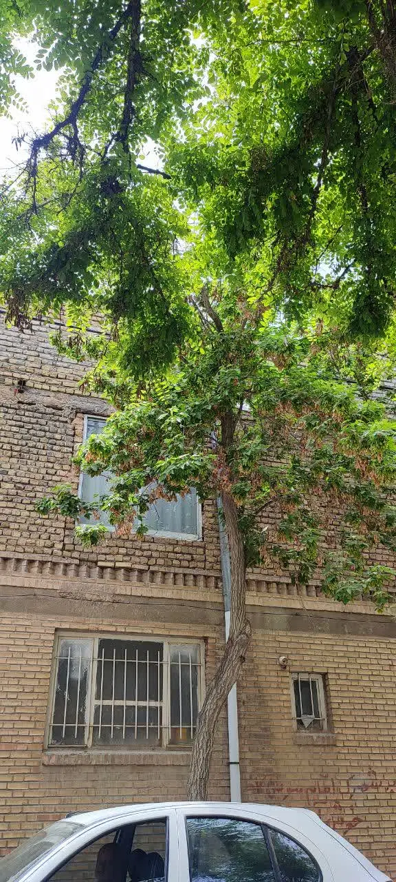 منزل ویلایی دربست
