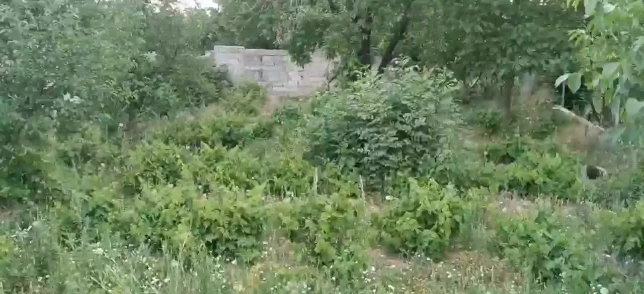 فروش باغ نقلی در روستای بزیجان