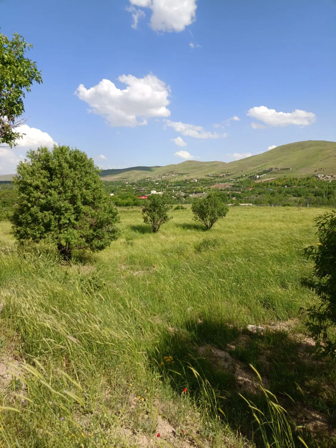 زمین فروشی