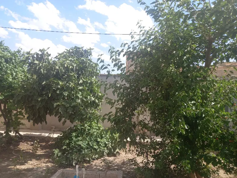 رهن خانه ۳۵۰ متری در کافشان