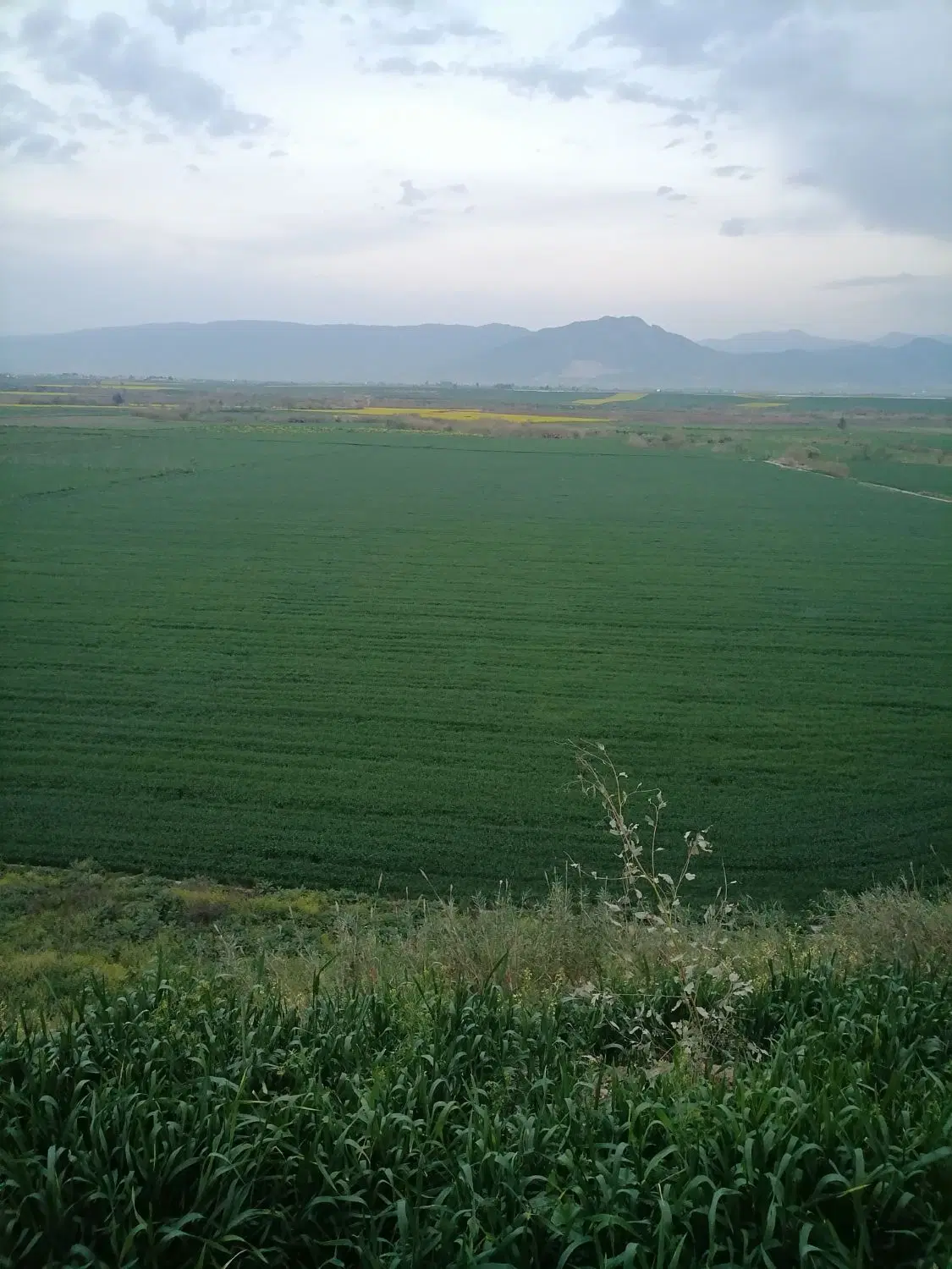 زمین کاربری دار
