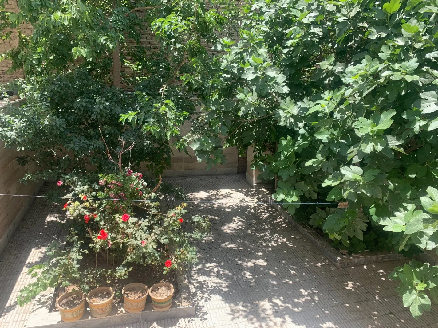 فاطمیه مستقل۱۸۵متری