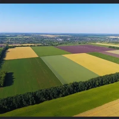 یک زمین کشاورزی در سوسنگرد روستای جلالیه