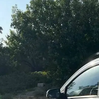 زمین خوران سنم