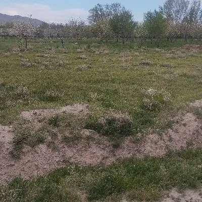زمین ویلایی سعیدآباد