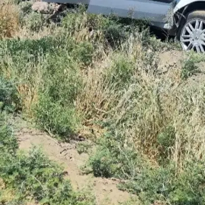 زمین