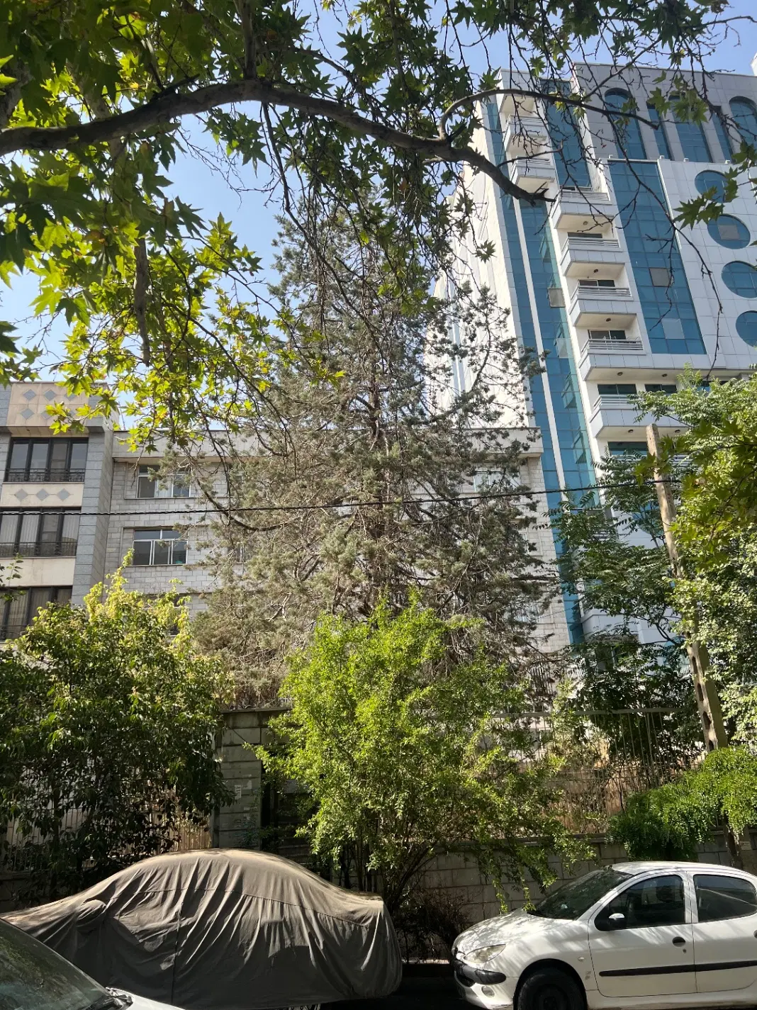کلنگی اکازیون واقعی در جردن