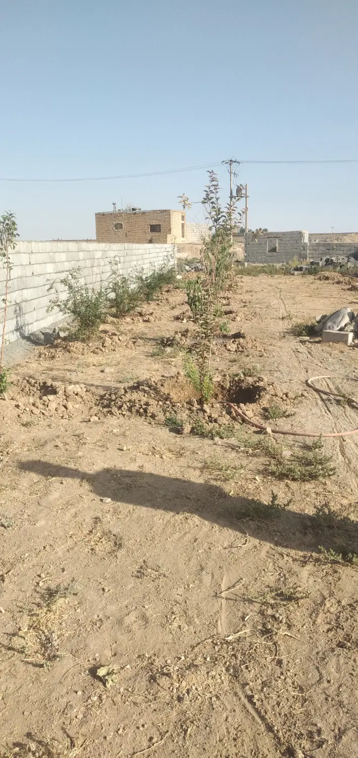زمین باغی فیروزآباد
