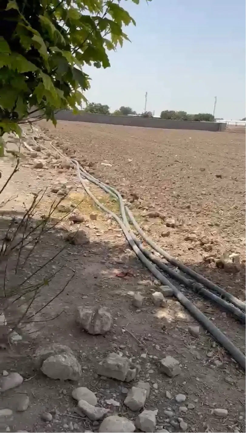 طارند بالا مناسب باغچه