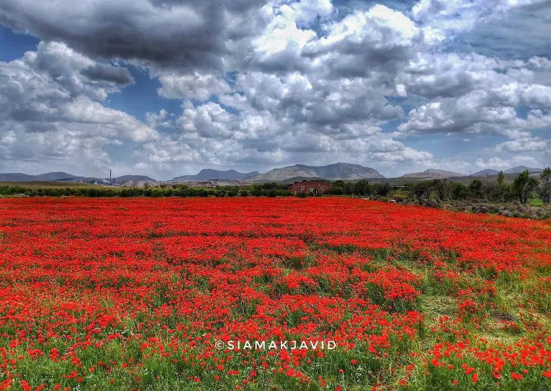 زمین برای سرمایه گذاری