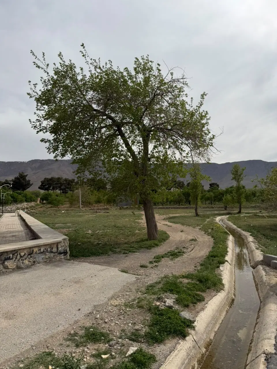 رهن کامل ب۳