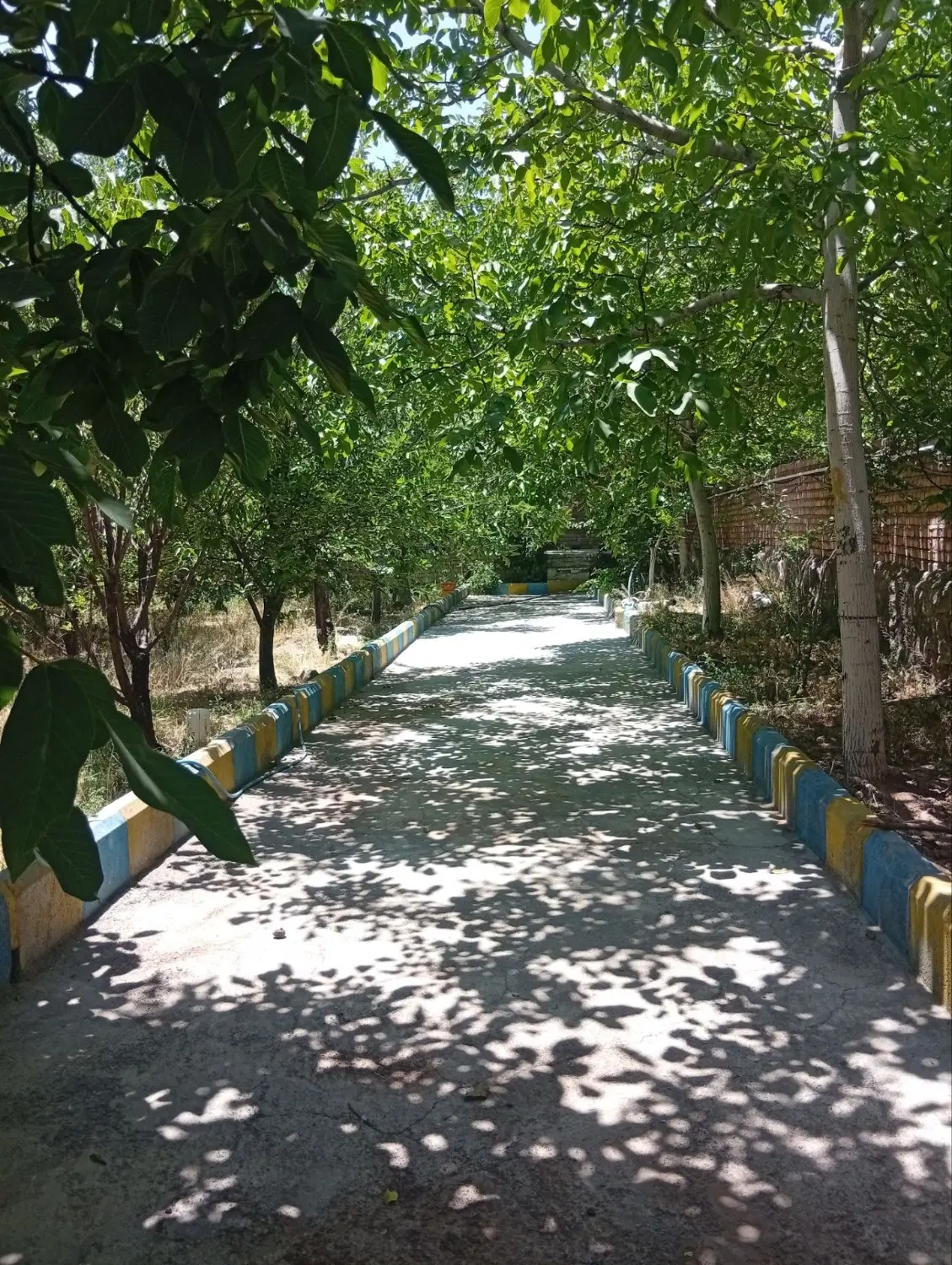 خانه باغ