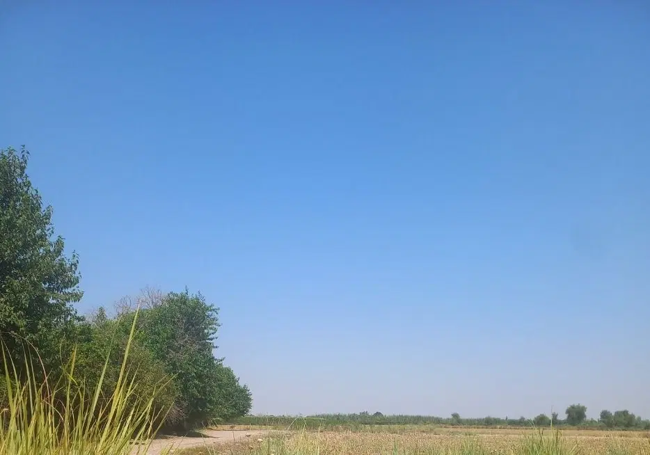 فروش زمین نزدیک به شهر