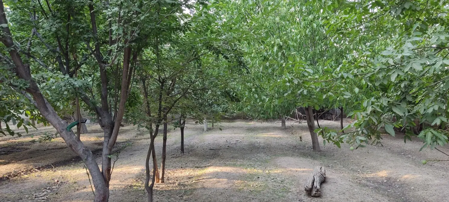 ۳۰۰ متر زمین مسکونی چهار دیواری سه راه طالقان