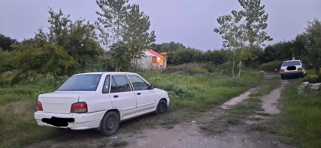 زمین