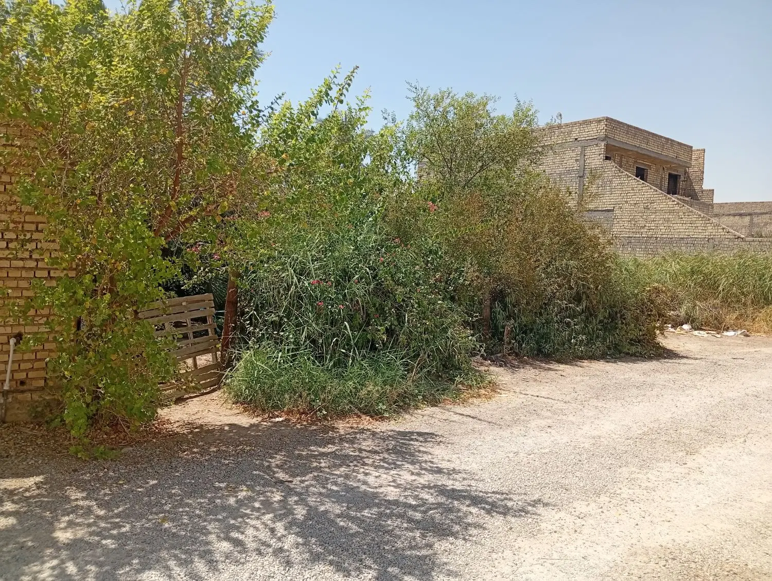 زمین در مینوشهر