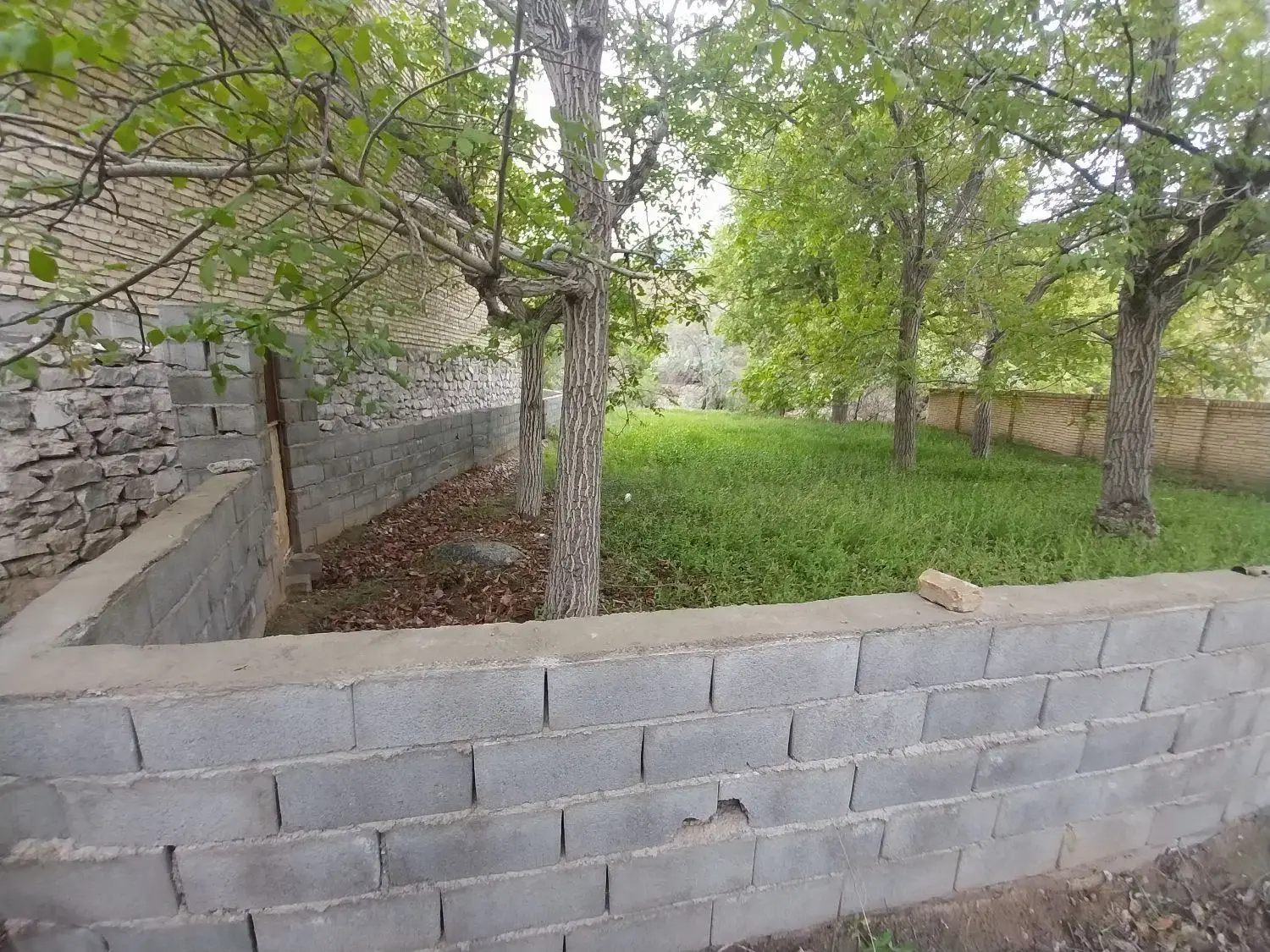 زمین سند تکبرگ بنادک سادات