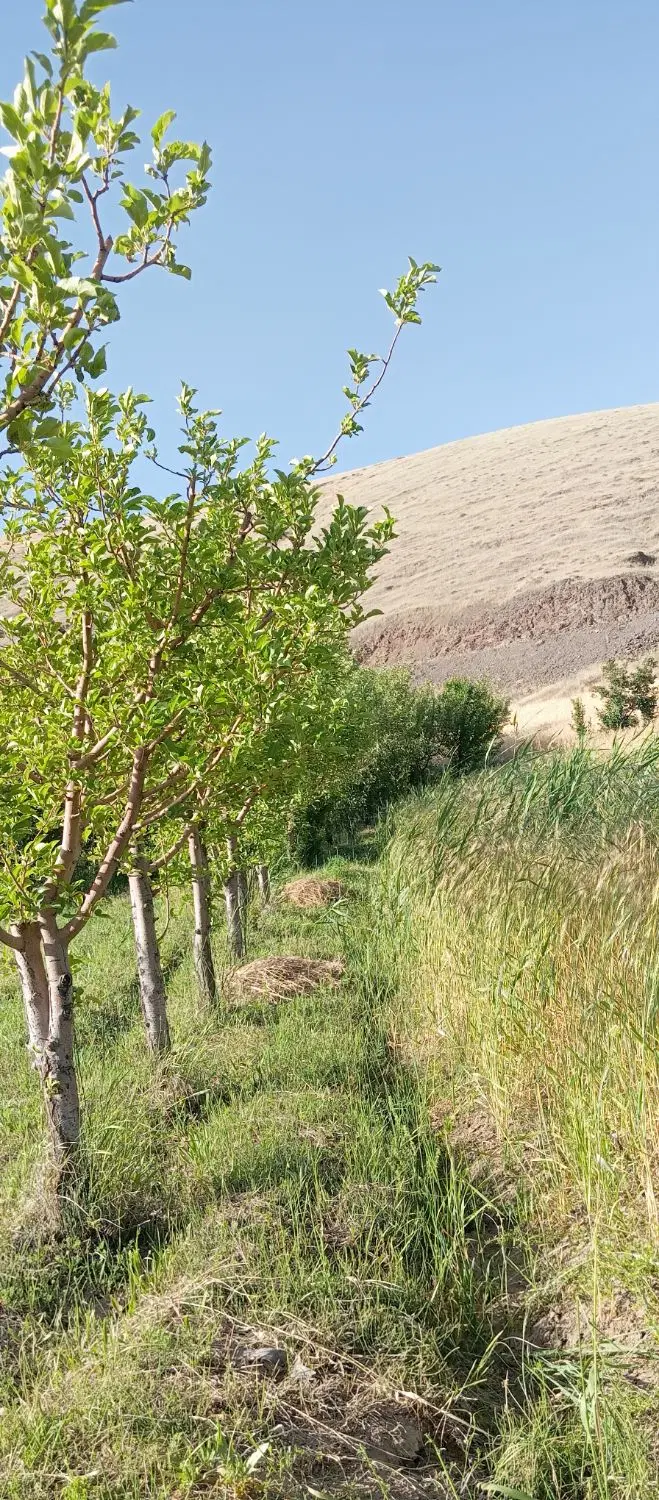 زمین کشاوزی ۶۰۰۰ متر