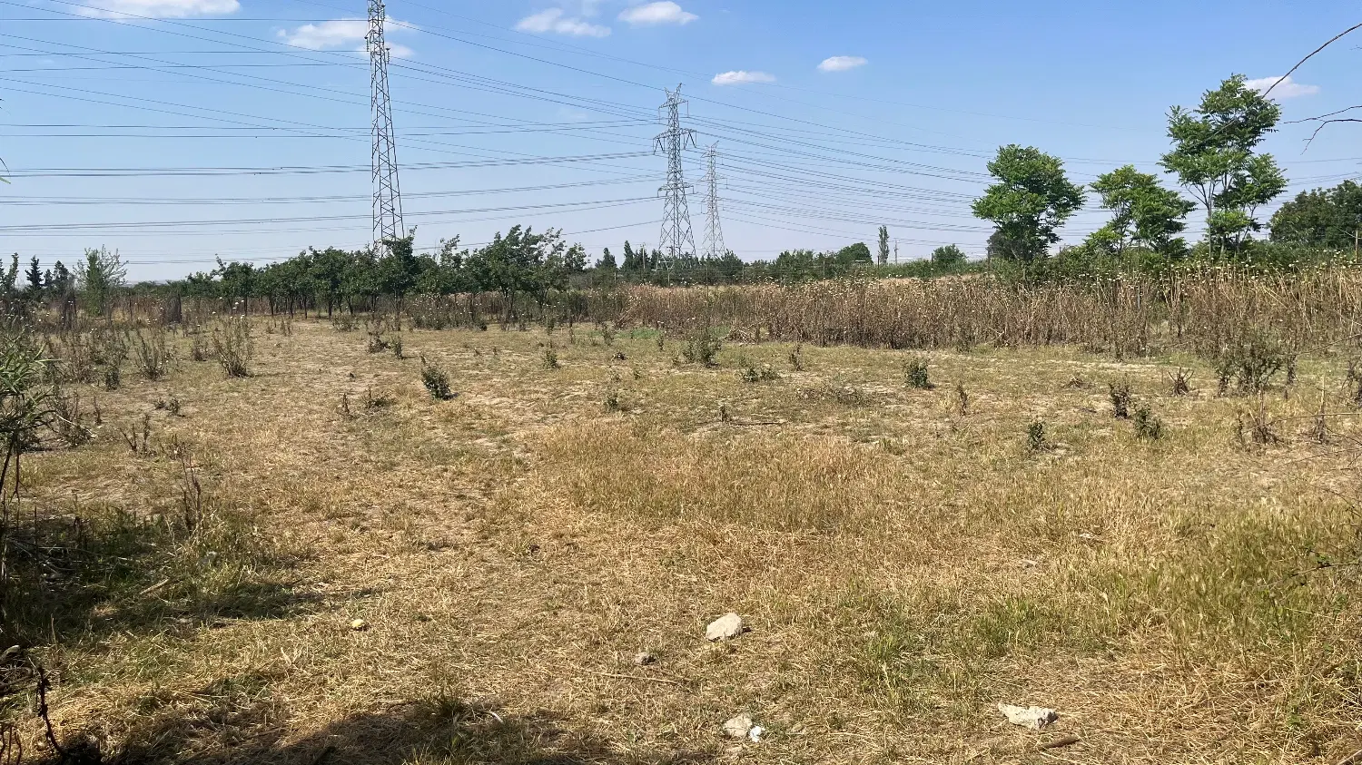 زمین باغی عیسی محله هاشم آباد