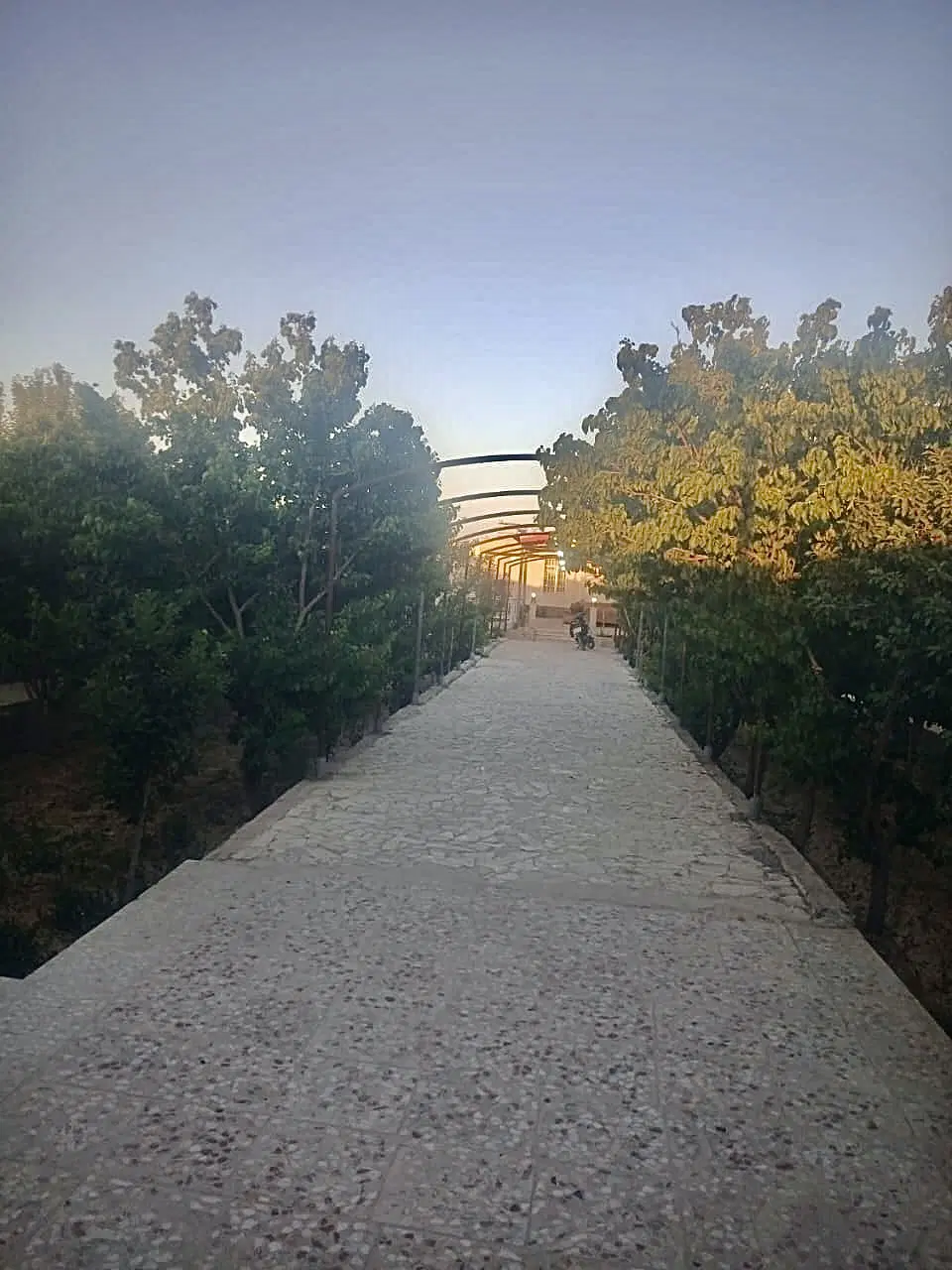 باغ