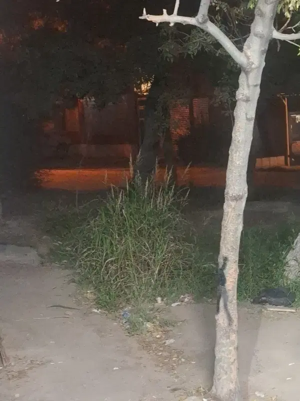 زمین زراعی