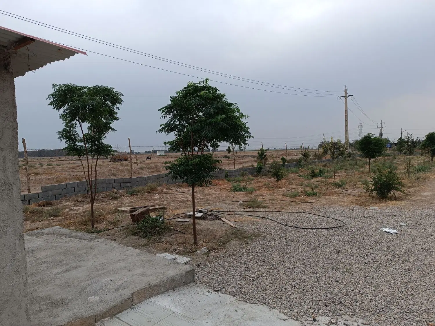 باغچه فروشی گازرسنگ