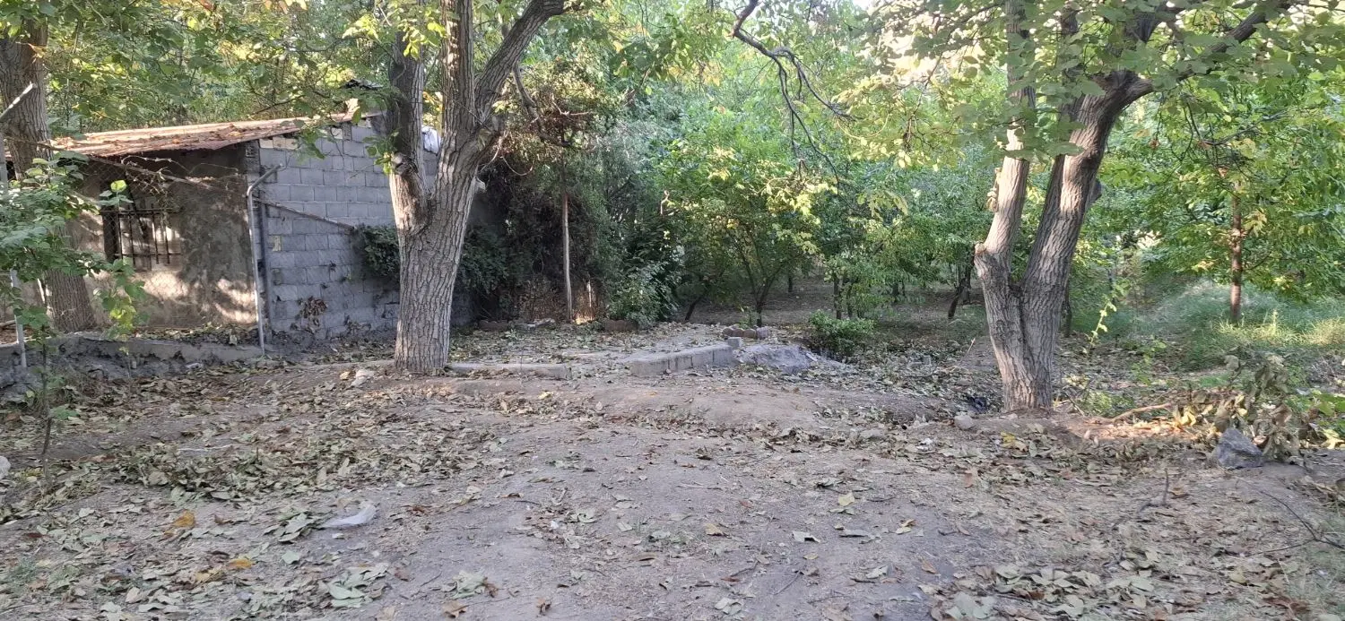 زمین ویلایی کنار رودخانه