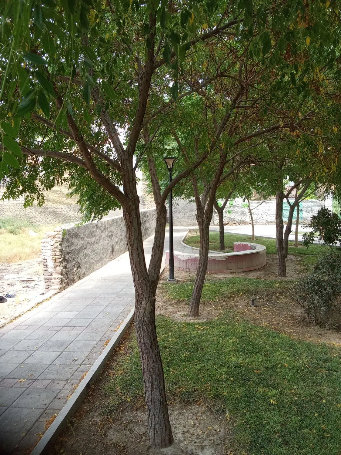 تجاری مسکونی فروشی