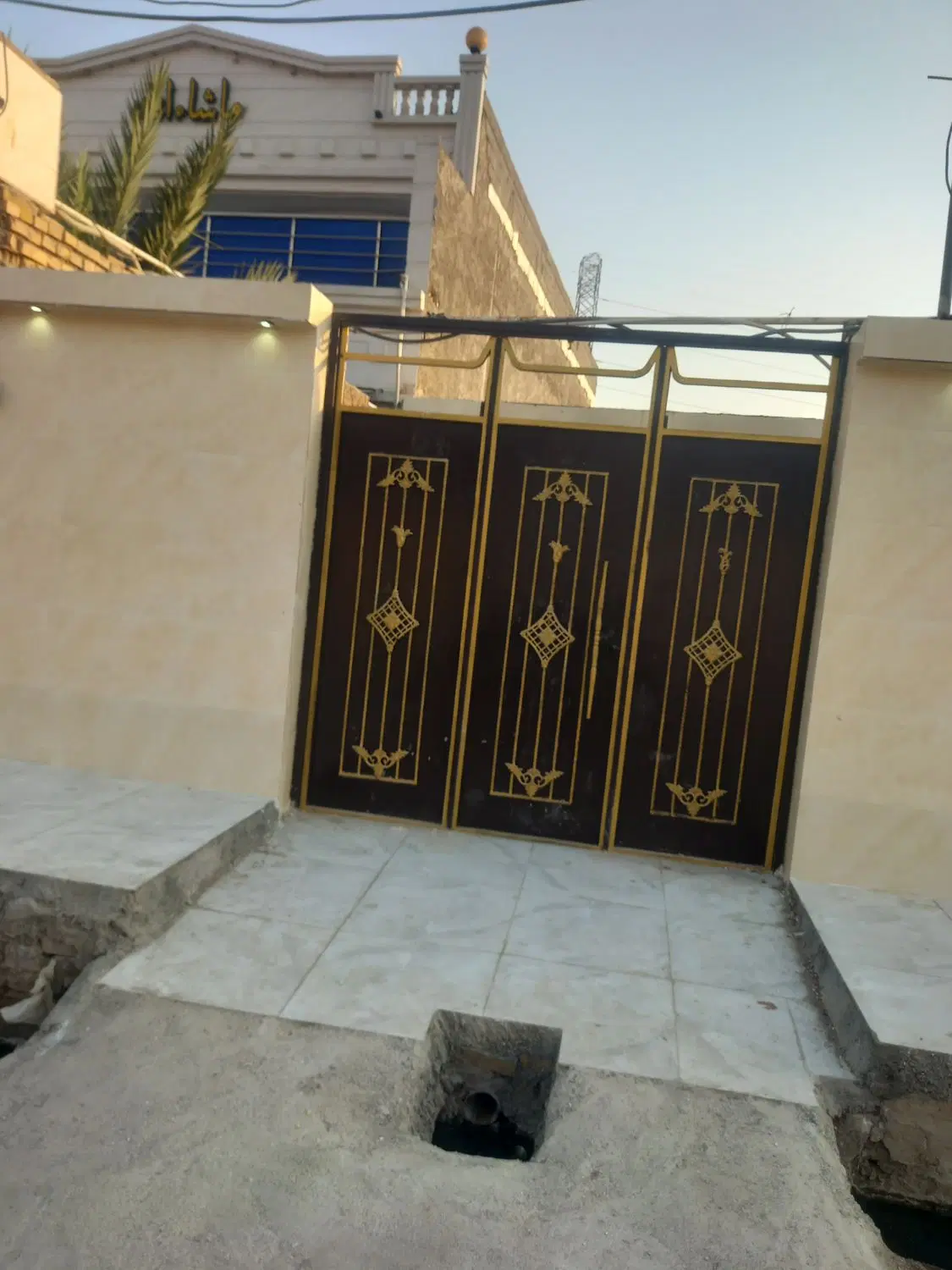 شکاره یک