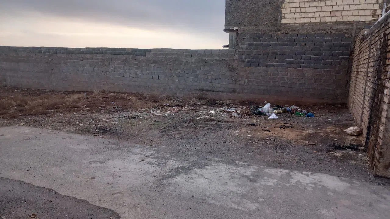 زمین تلخک