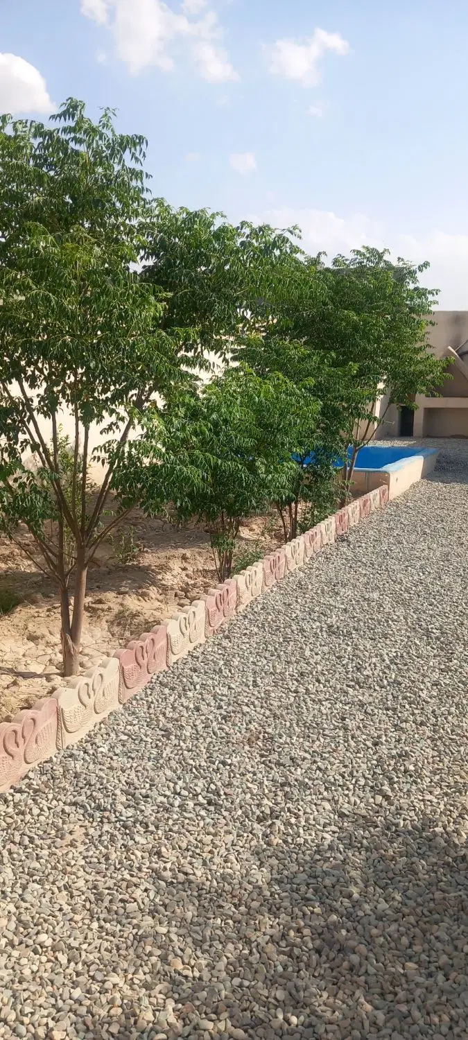 باغچه آماده قابل سکونت همراه با استخر