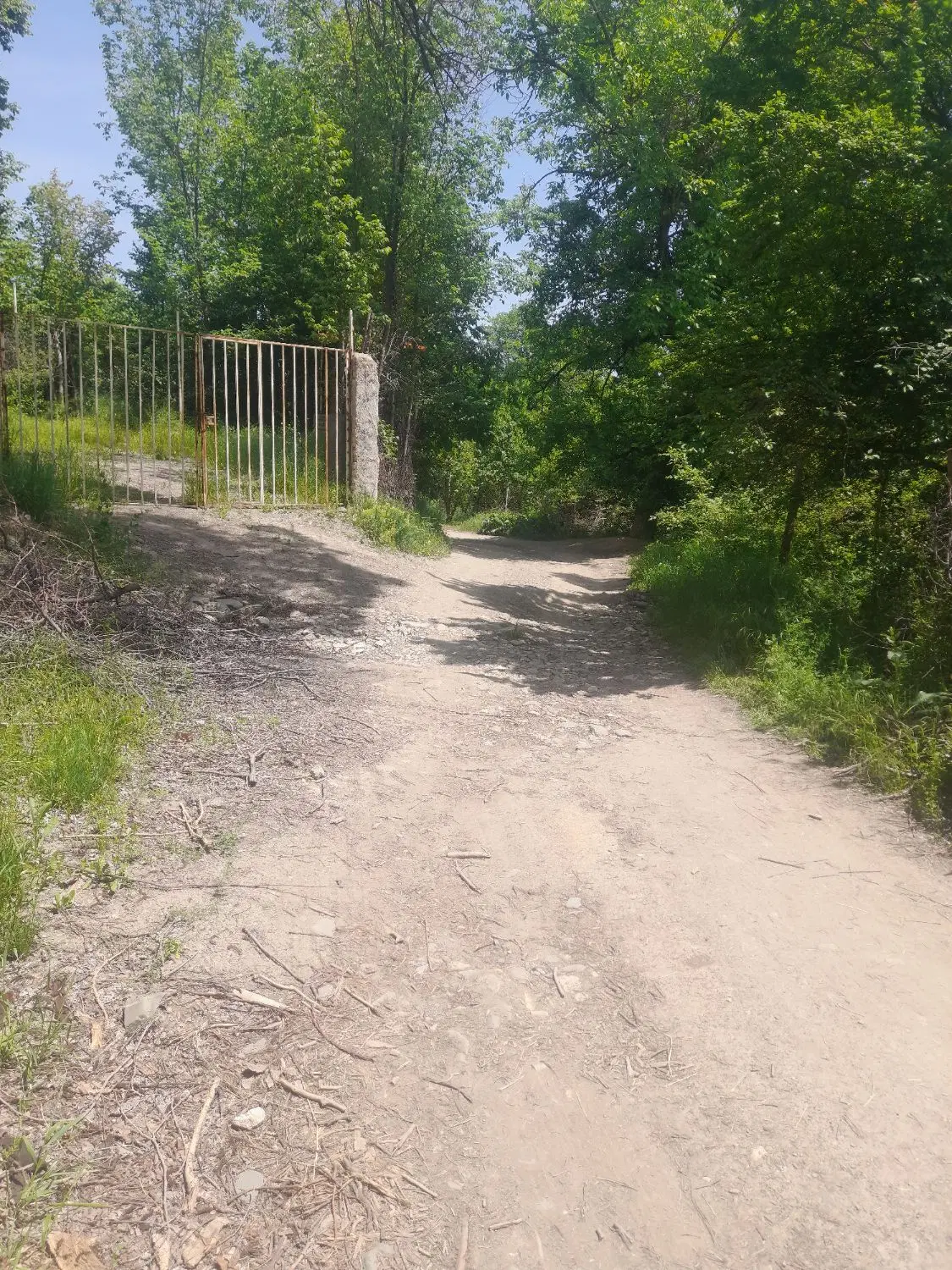 باغ گلمکان