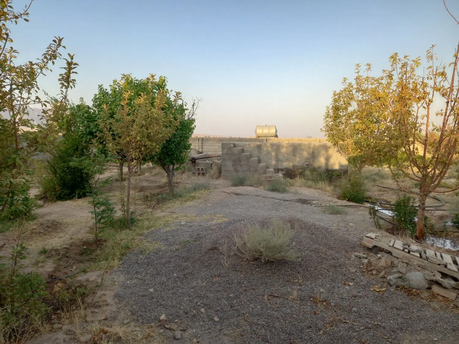 فروش باغ هفت باغ( امیر آباد )