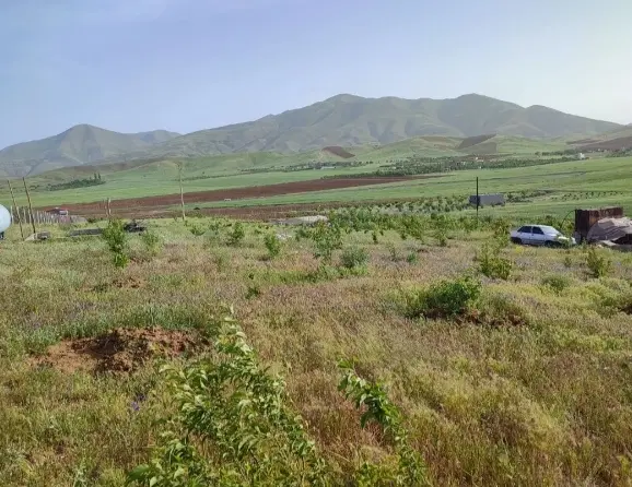 زمین کشاورزی سرنوه پشت پادگان