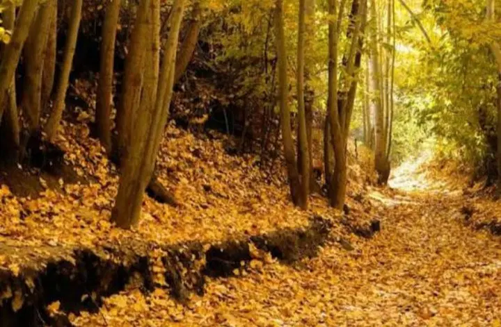 فضایی مناسب برای سرمایه گذاری در بخش گردشگری