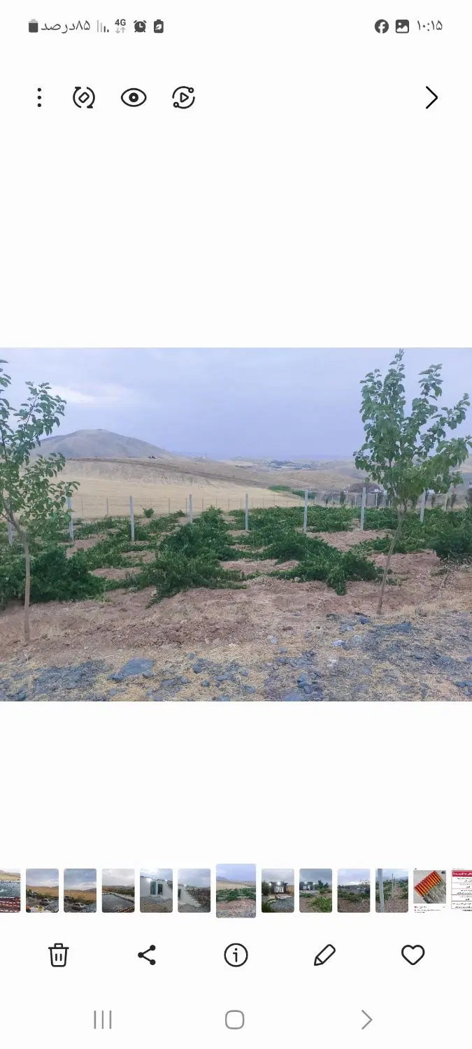 باغ کشاورزی