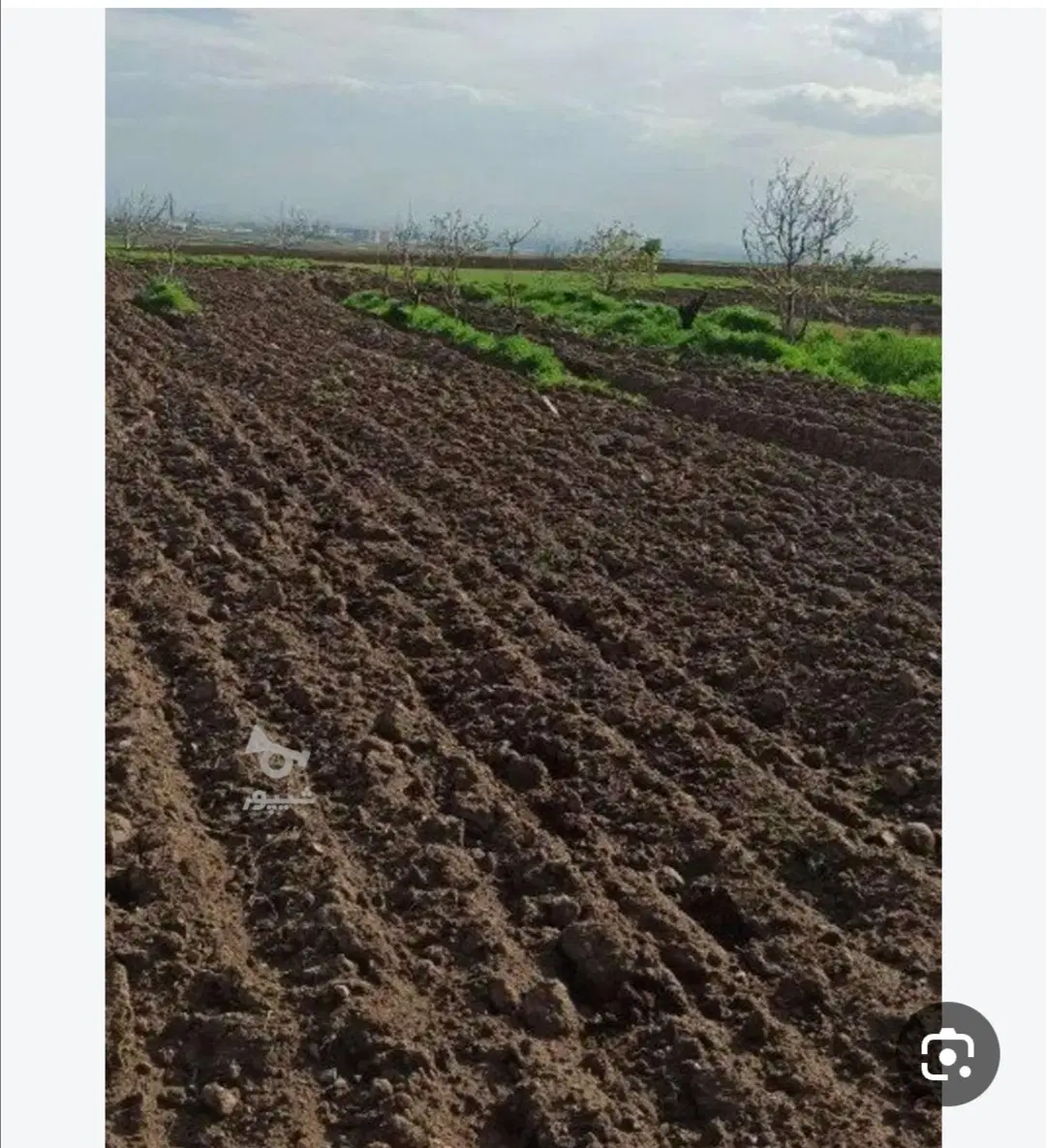 زمین کشاورزی و باغی به مساحت پنج هزارمتر