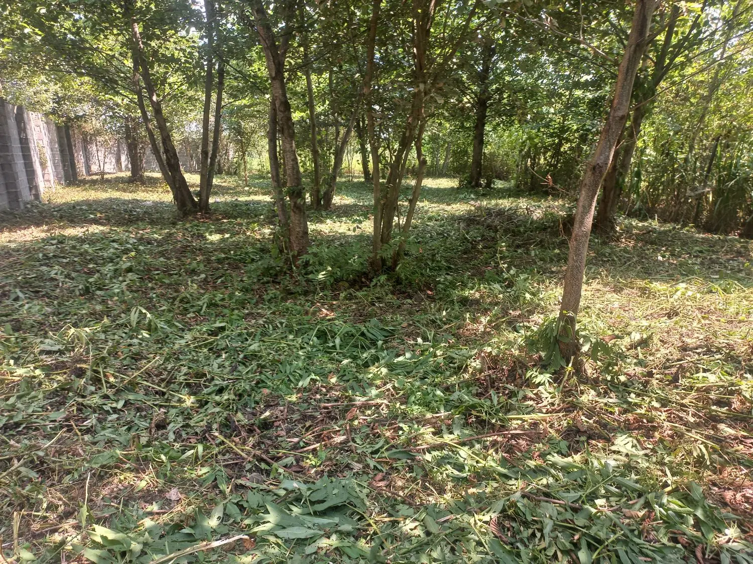 ۶۸۰ متر زمین   کامل مسکونی