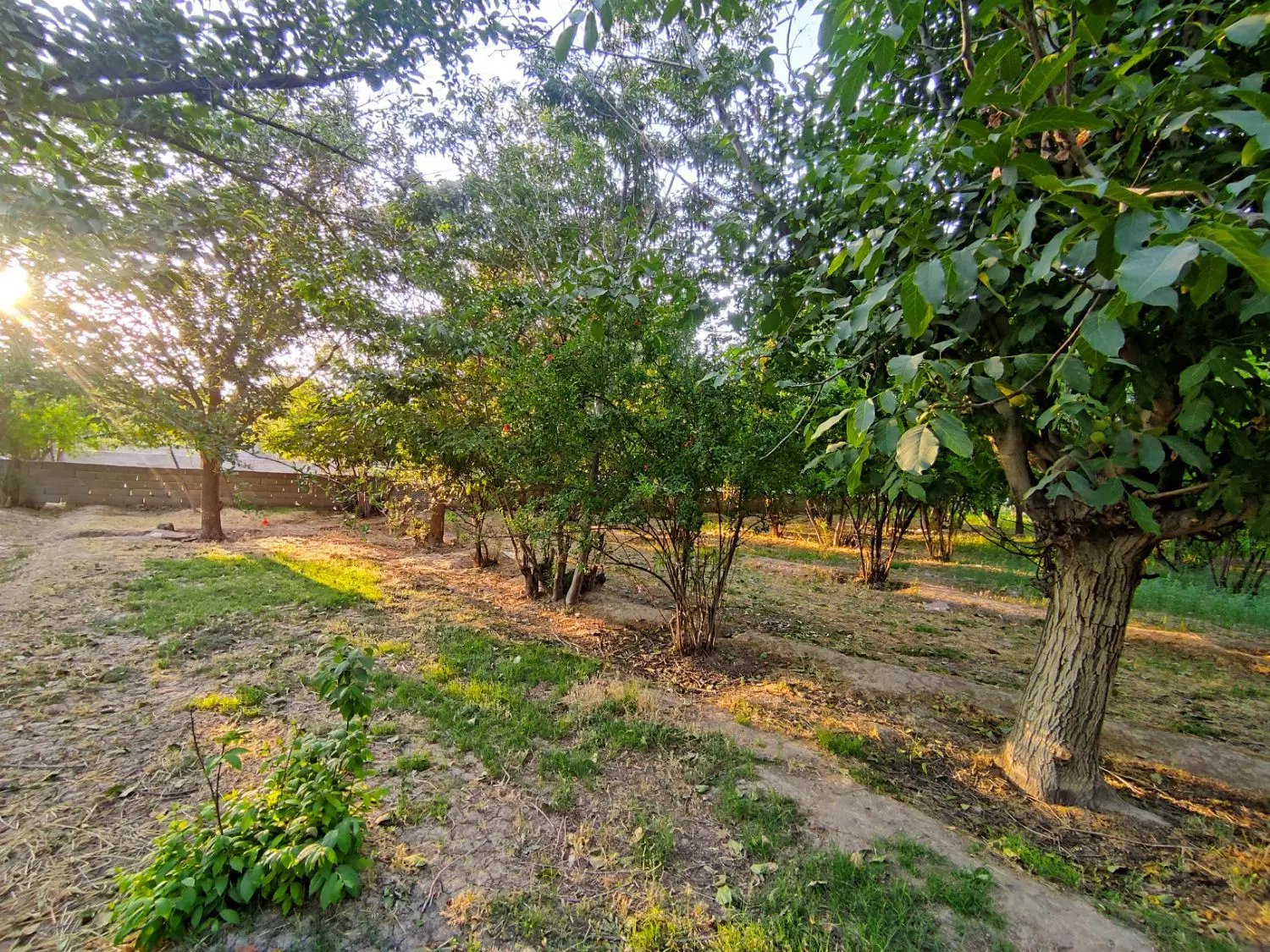 300مترزمین باغی سرسبز